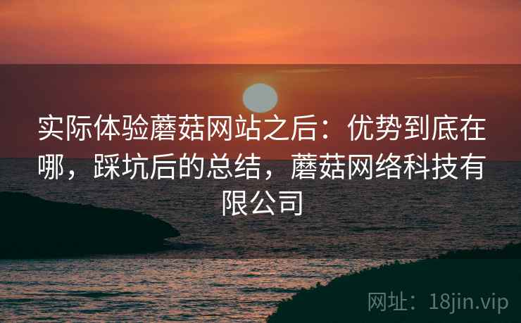 实际体验蘑菇网站之后：优势到底在哪，踩坑后的总结，蘑菇网络科技有限公司