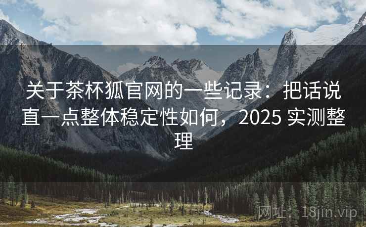 关于茶杯狐官网的一些记录：把话说直一点整体稳定性如何，2025 实测整理