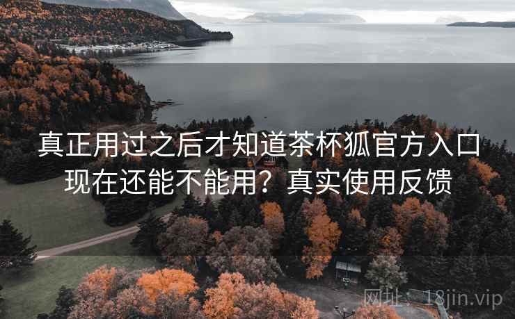 真正用过之后才知道茶杯狐官方入口现在还能不能用？真实使用反馈