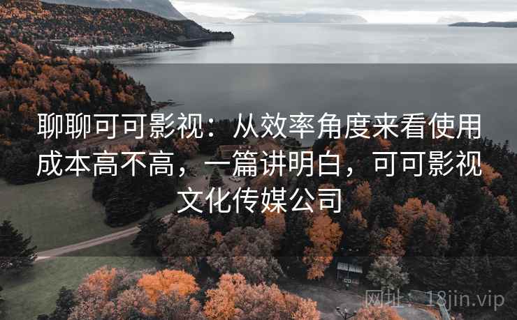 聊聊可可影视：从效率角度来看使用成本高不高，一篇讲明白，可可影视文化传媒公司