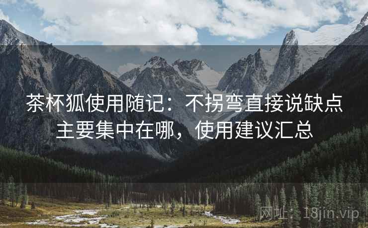 茶杯狐使用随记：不拐弯直接说缺点主要集中在哪，使用建议汇总
