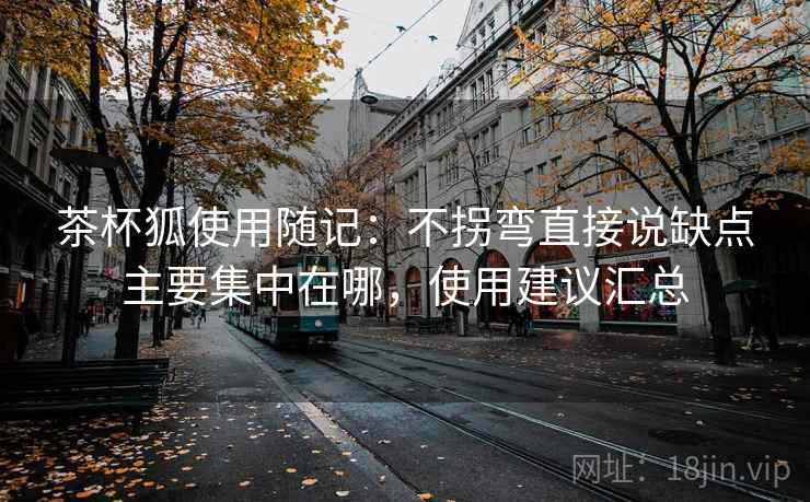 茶杯狐使用随记：不拐弯直接说缺点主要集中在哪，使用建议汇总